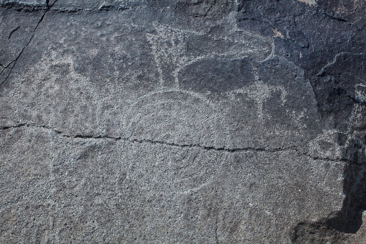 Indiai petroglyfák – Állat- és szimbolikus ábrázolás – Petroglif Nemzeti Emlékmű – Albuquerque, Új-Mexikó, USA (USA) alkotó: William M. Timlin