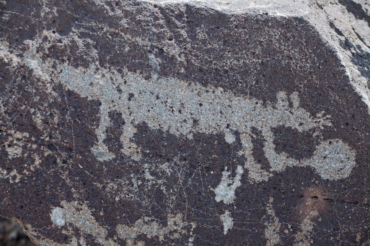 Állatokat ábrázoló indiai petroglyfák - Petroglyph National Monument - Albuquerque, Új-Mexikó, USA (USA) alkotó: William M. Timlin