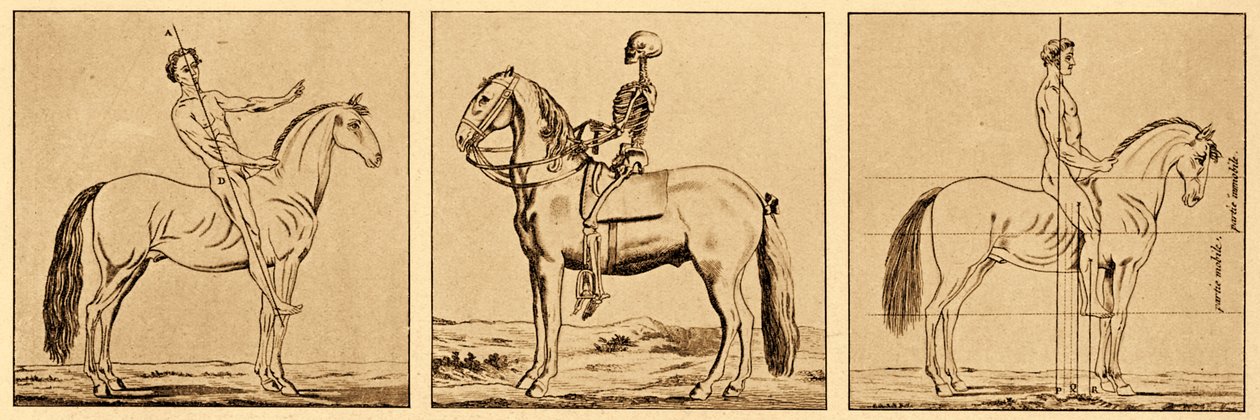 Instructions on the posture on horseback alkotó: Unbekannter Künstler