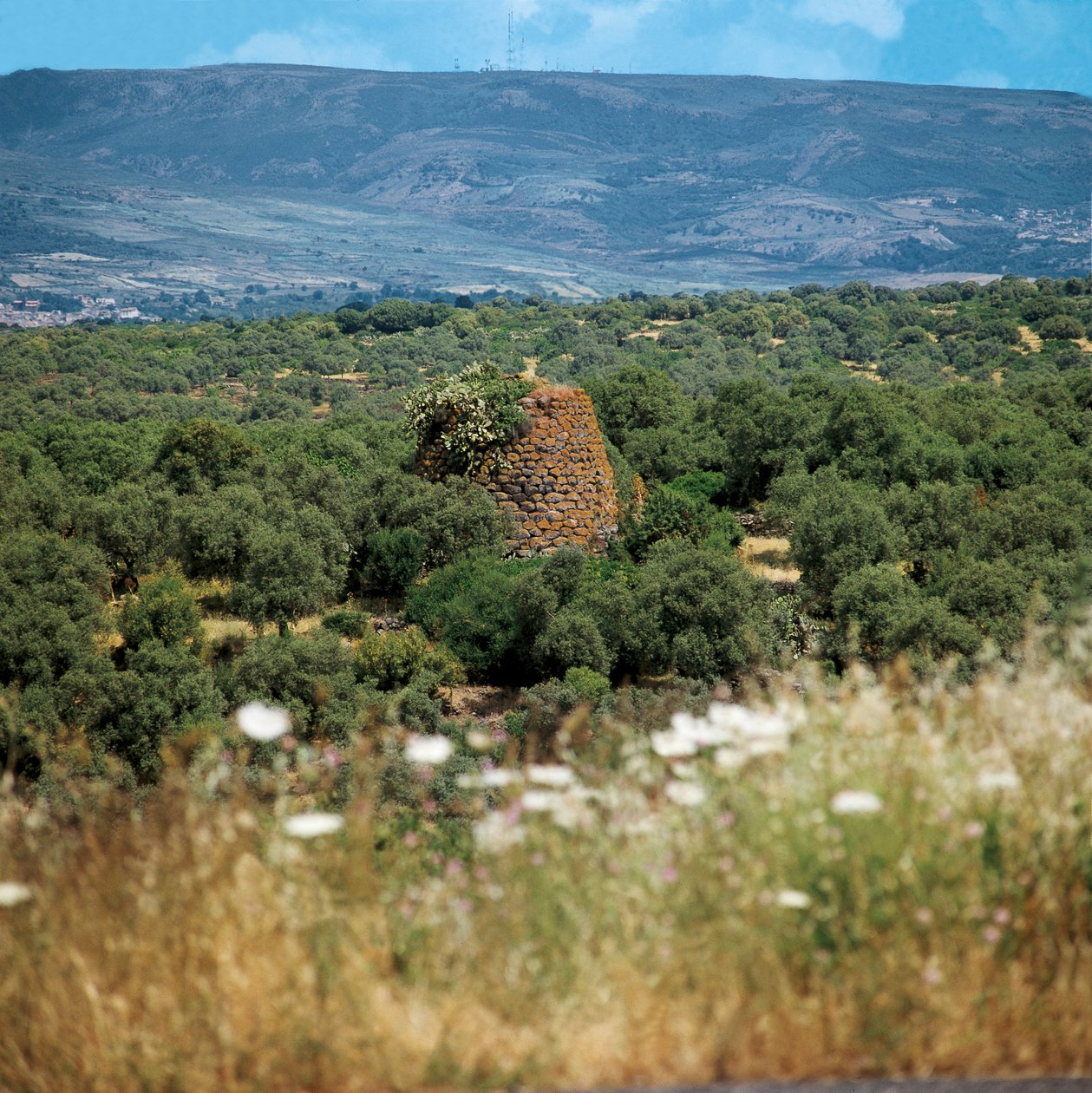 Olaszország, Szardínia régió, Oristano tartomány, Nuraghe Crabia alkotó: William M. Timlin