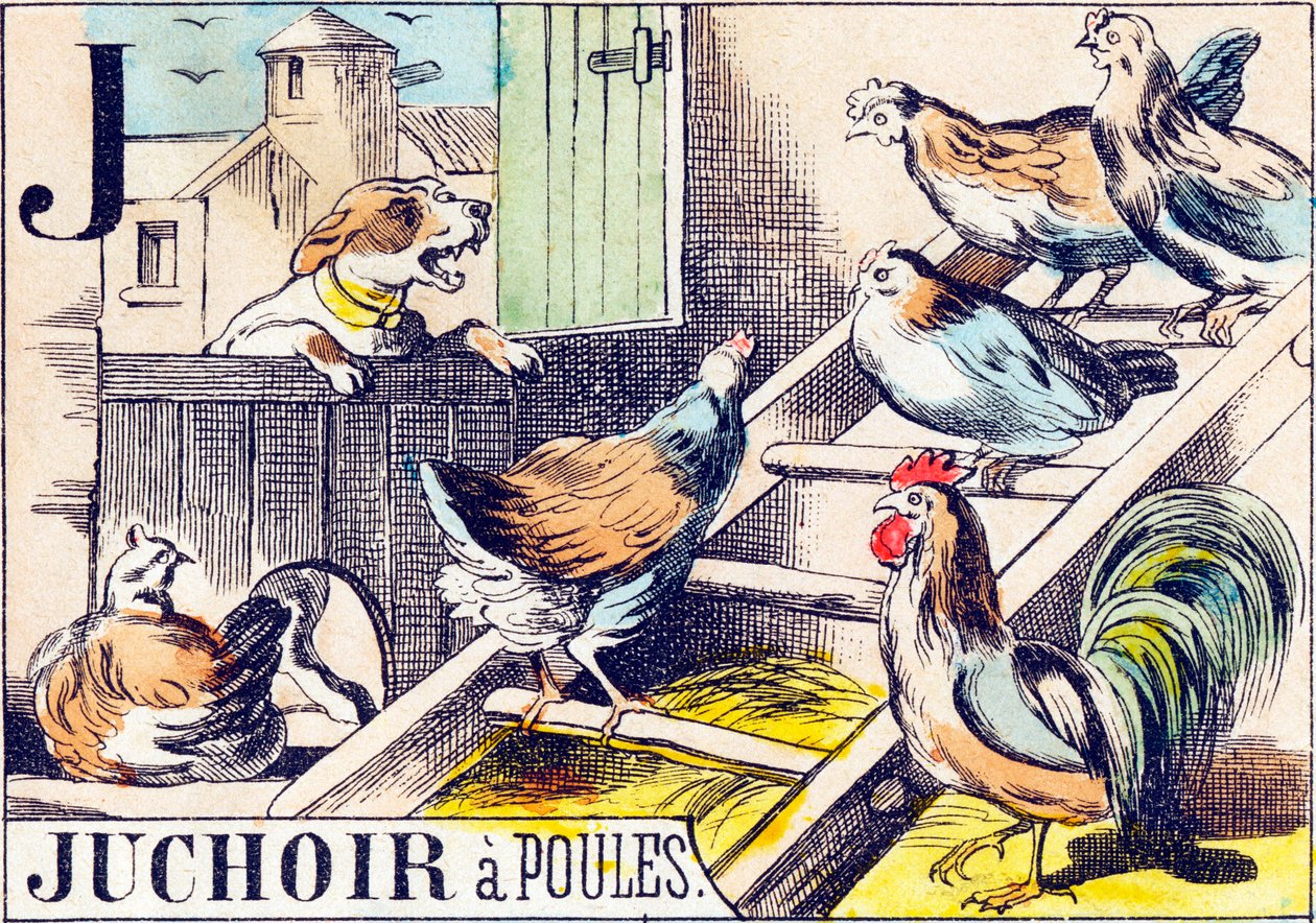 J Juchoir a poules - "Tanya ábécéje" 19. század vége (metszet) alkotó: Unbekannt