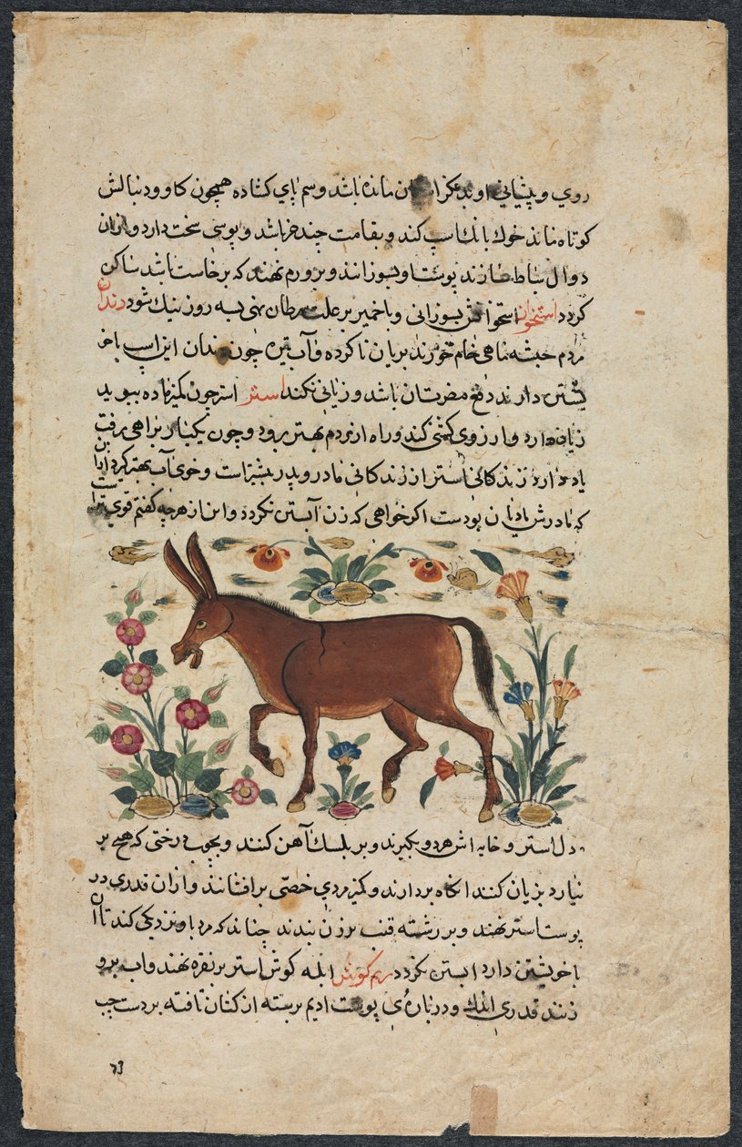 Egyéb (lelet), egy nezhantami dobásból (kiváló könyv arról, hogy megérkezünk) Shahmarda Ibn Abi al-Khairtól alkotó: Unbekannt