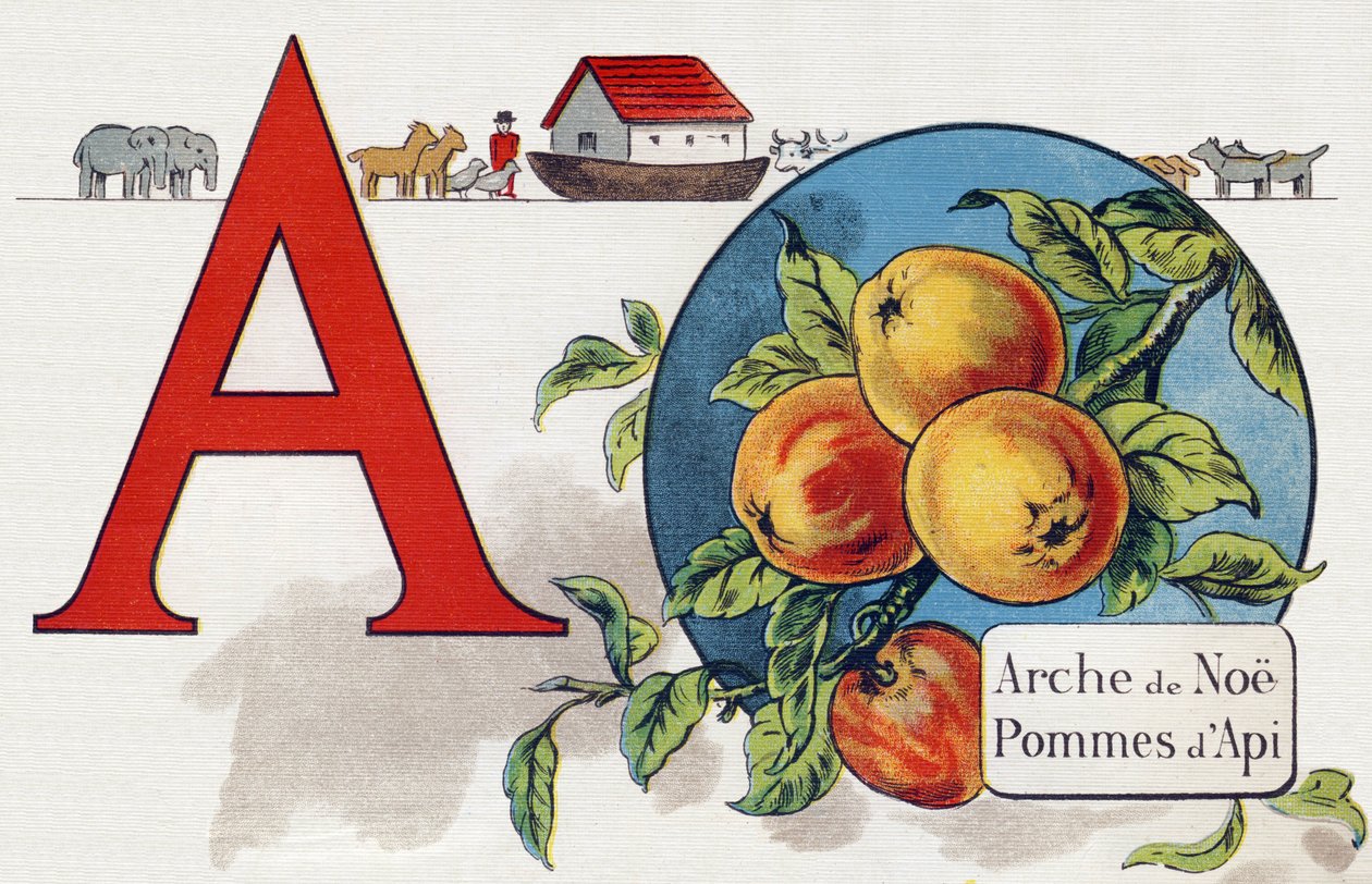A betű: Noe bárkája, Apy Apple. Metszet "ABC L