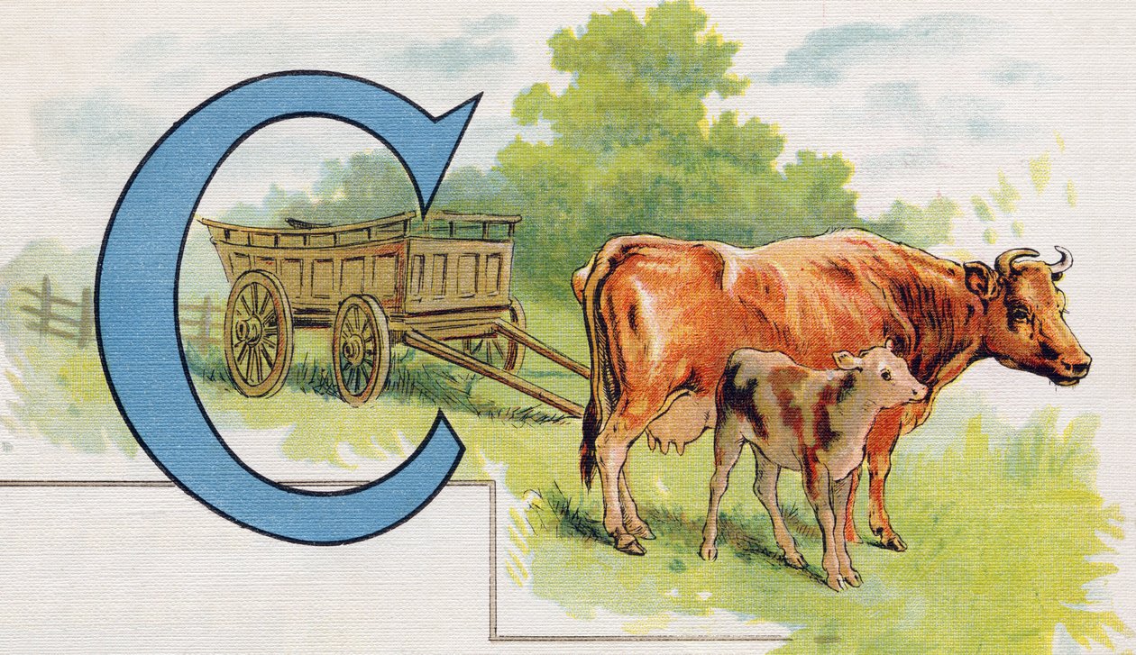 C betű: kocsi. Metszet "ABC L