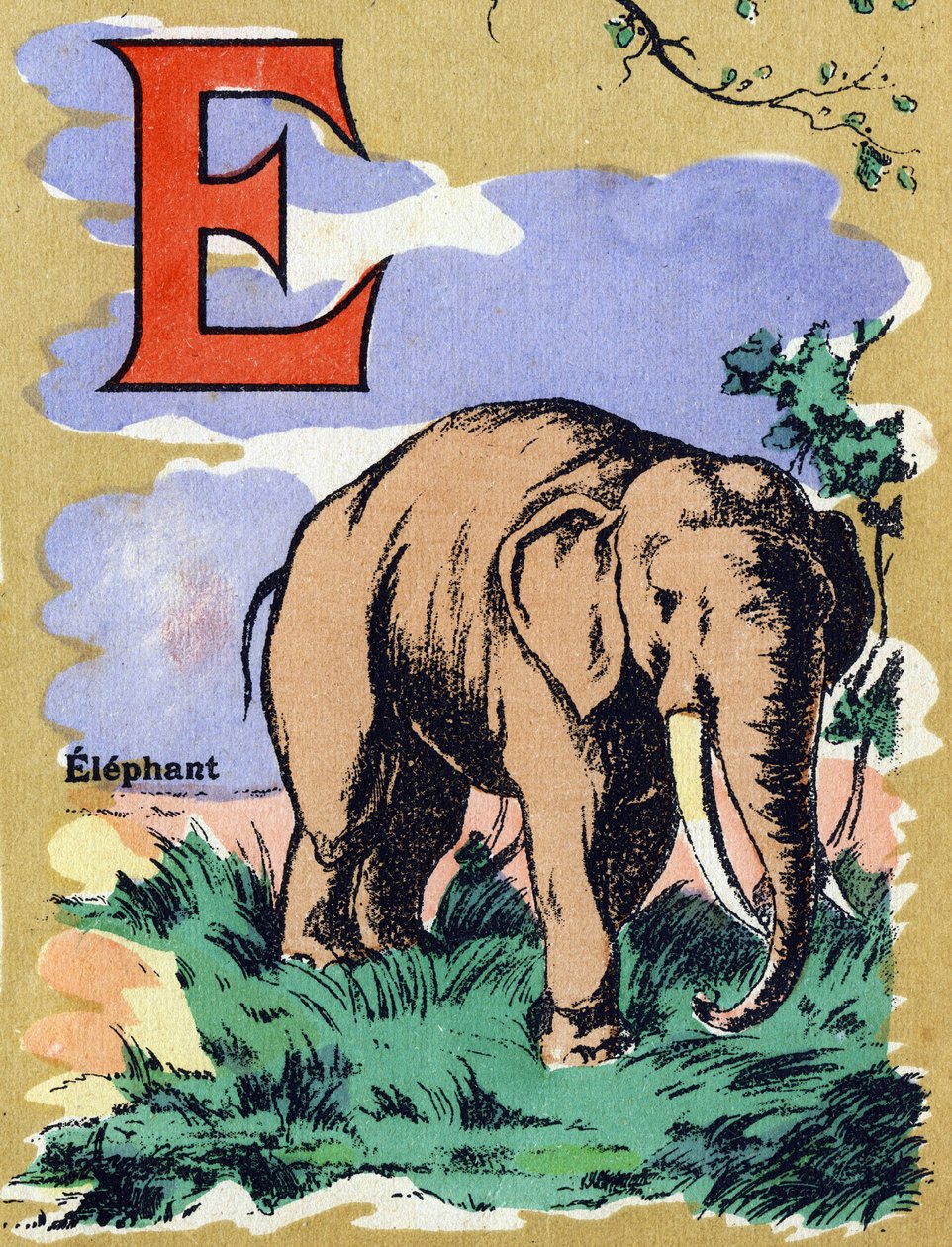 E betű, mint egy elefánt. Illusztrált ábécé. A képek a 20. század elején Jarville-Nancyben újra egyesültek. Mérete: 40x29 cm. Litográfia bisztre alapon alkotó: Unbekannt