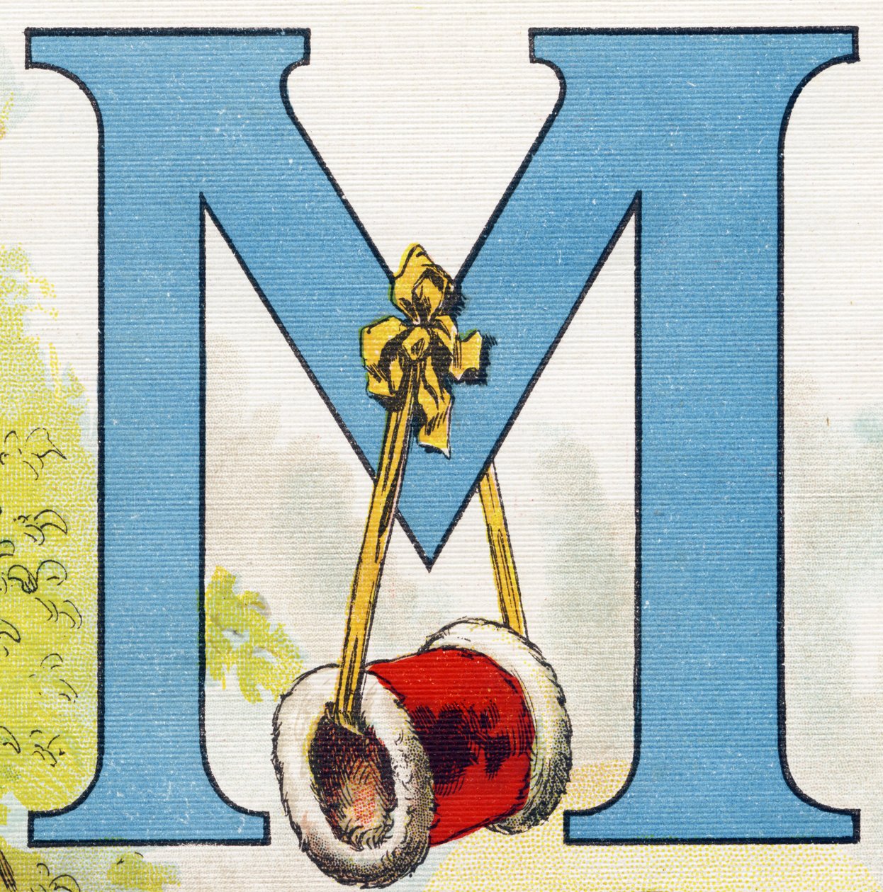 M betű: a hüvely. Metszet "ABC L