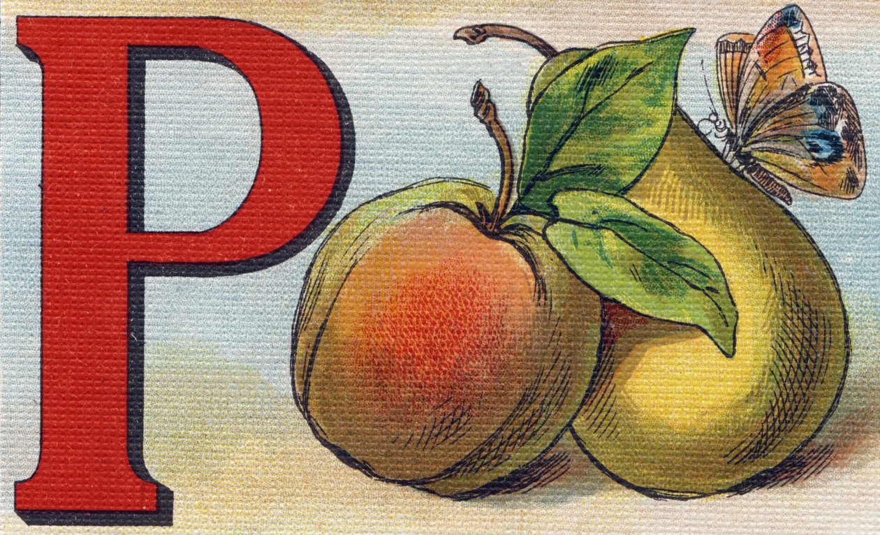 P betű, mint barack, körte és pillangó. Metszet "Alphabet de ma petite fille". Bernardin-Bechet és Fils, könyvkereskedő-kiadók, Párizs, 1895 körül. Törhetetlen album vásznon. Bibliotheque des Bebes. 12 oldal. Olvasási módszert tartalmazó album és egy alkotó: Unbekannt