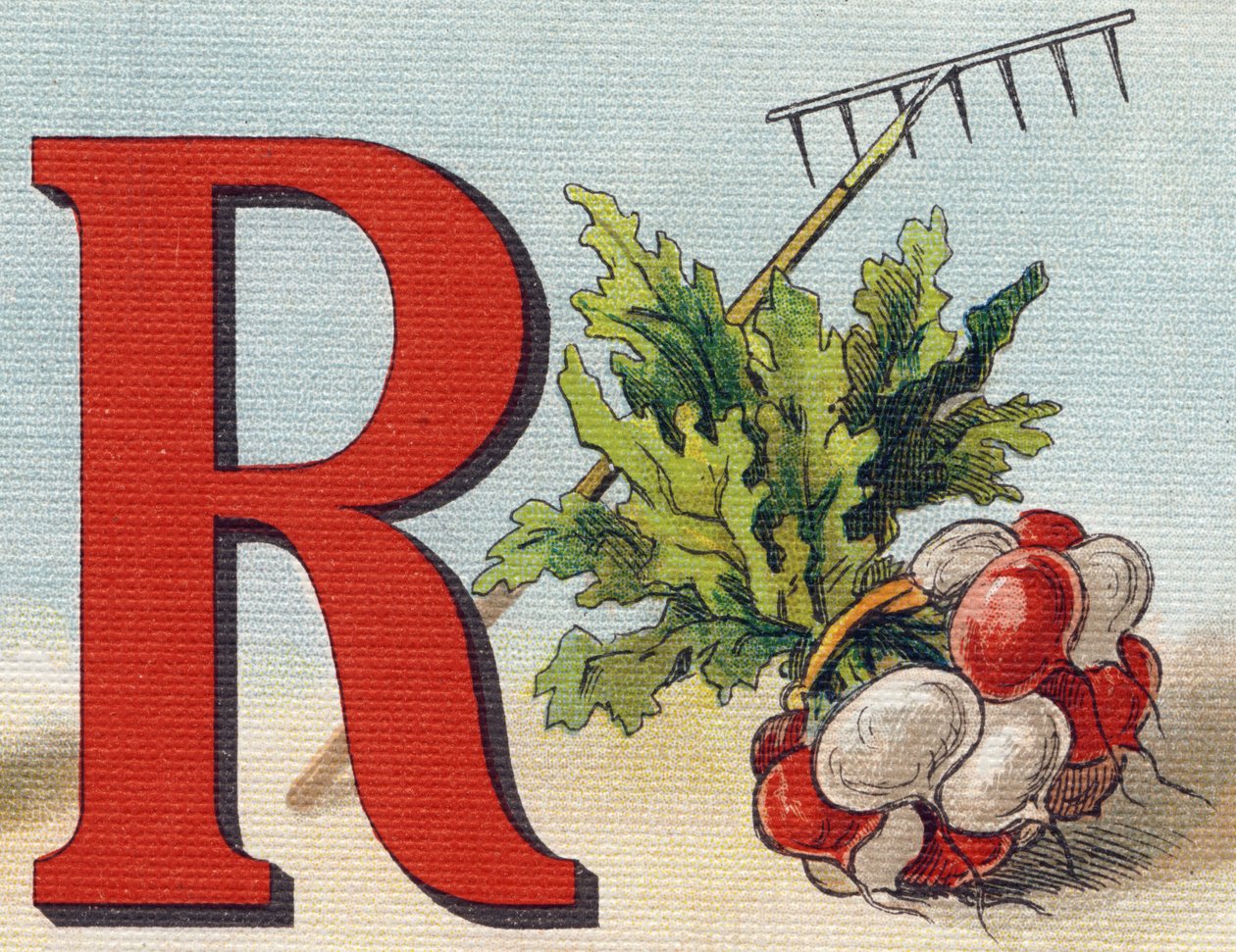R betű: gereblye, retek. Metszet "Alphabet de ma petite fille". Bernardin-Bechet és Fils, könyvkereskedő-kiadók, Párizs, 1895 körül. Törhetetlen album vásznon. Bibliotheque des babes. 12 oldal. Olvasási módszert és szemléltetőt tartalmazó album a alkotó: Unbekannt