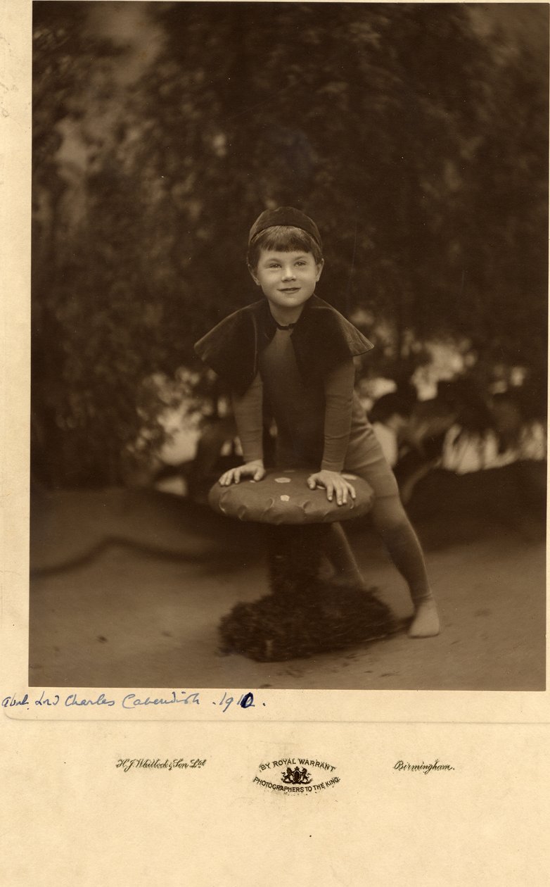 Lord Charles Cavendish alkotó: William M. Timlin