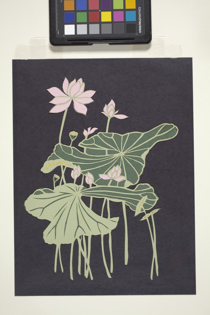 Lotus (többszínű vágott papír) alkotó: Unbekannter Künstler