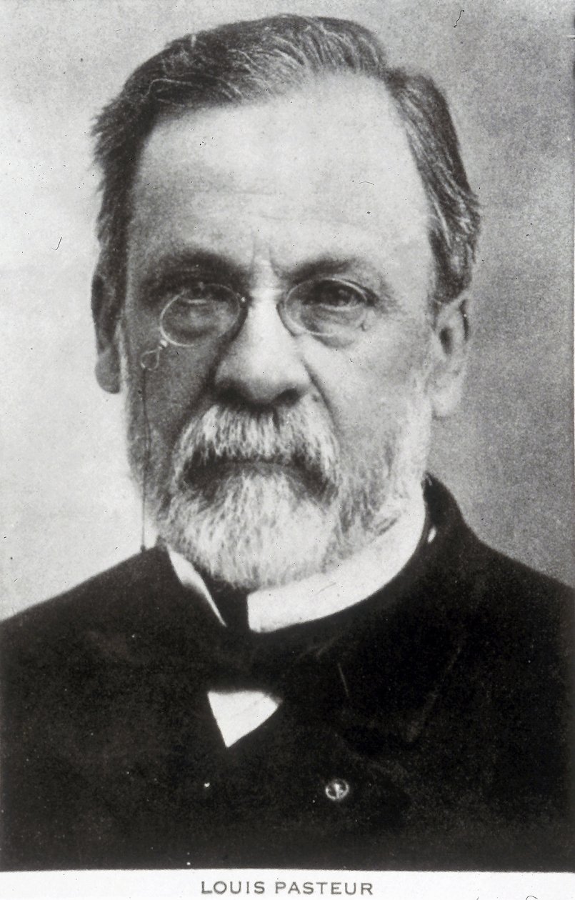 Louis Pasteur, francia kémikus és mikrobiológus, 1885 körül alkotó: Unbekannter Künstler