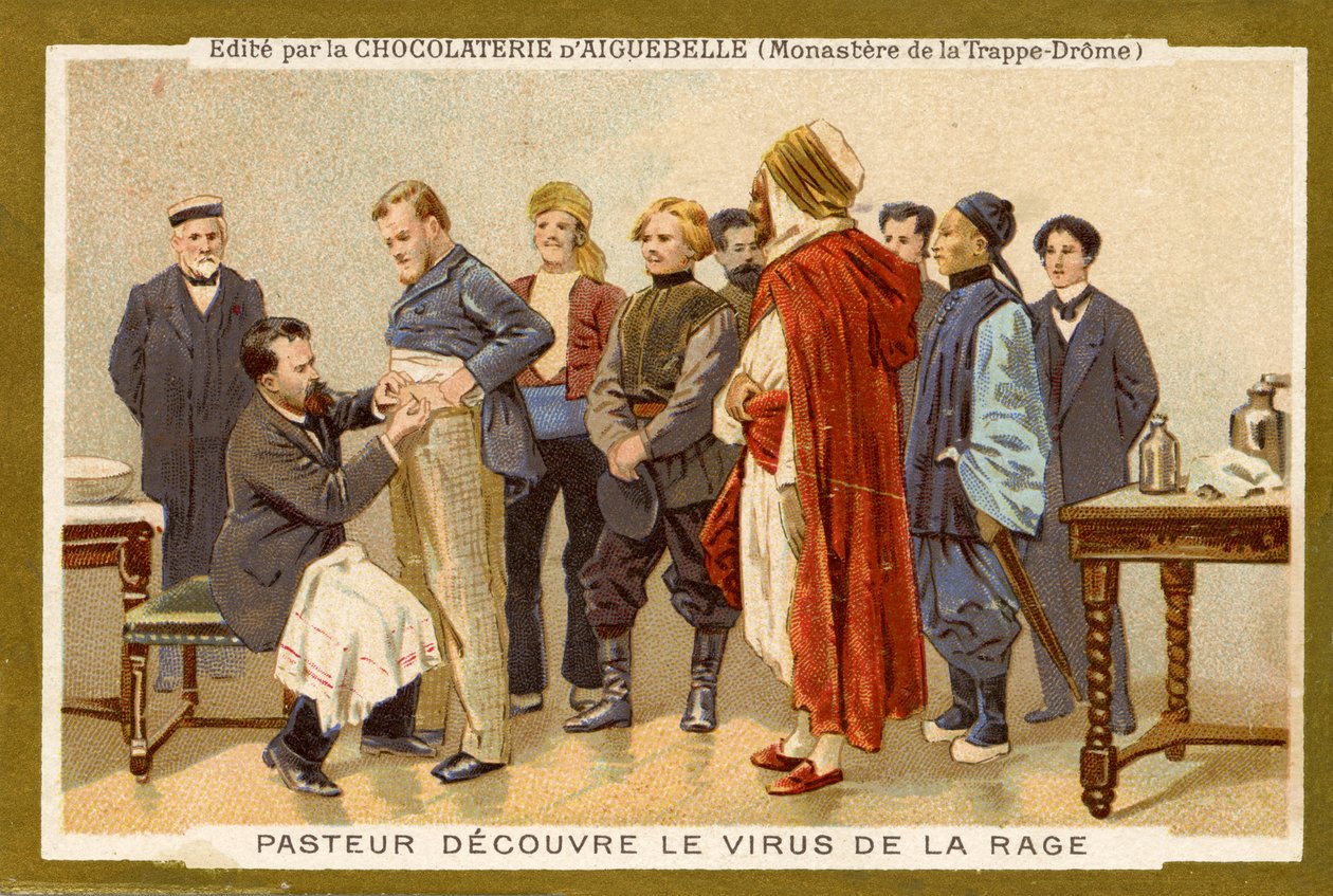 Louis Pasteur felfedezi a veszettség vírusát alkotó: Unbekannter Künstler