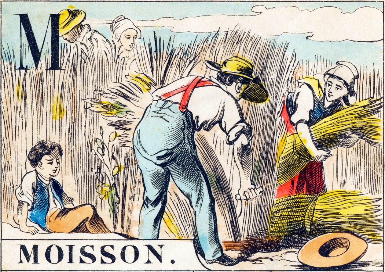 M Moisson - "A farm ábécéje" 19. század vége (metszet) alkotó: Unbekannt