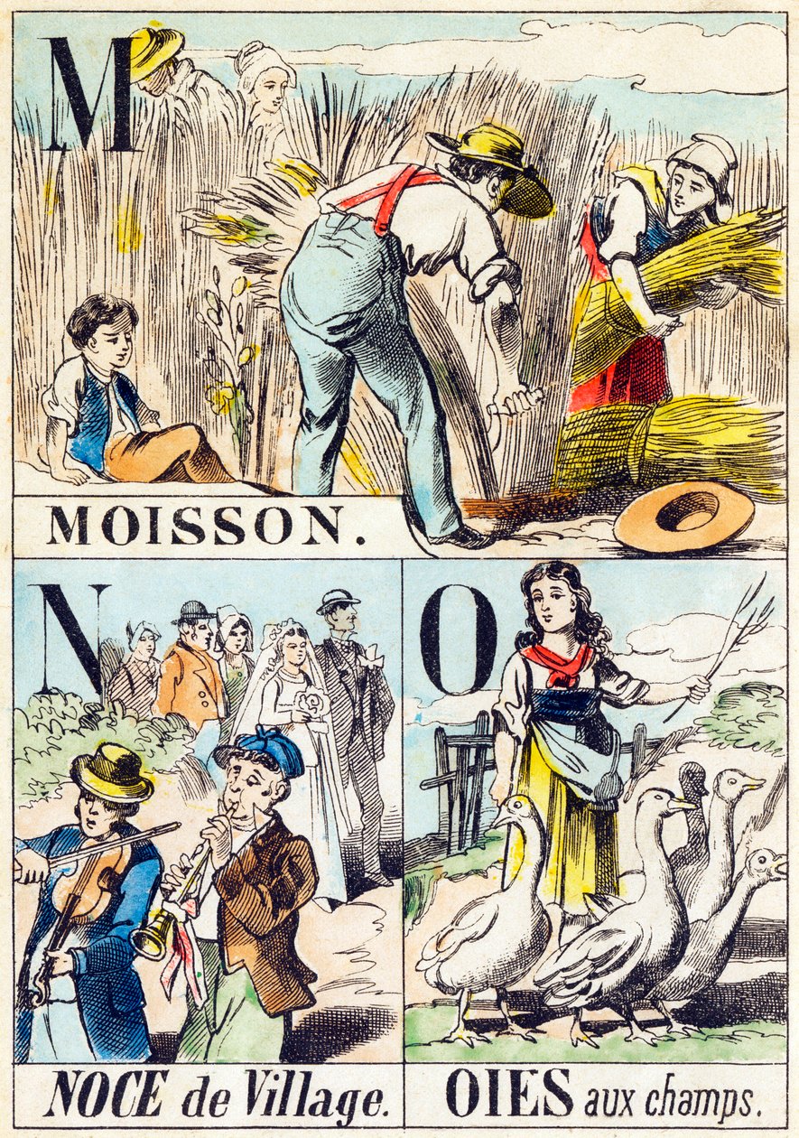 M N O : Moisson, Noce de village, Oies aux champs - "A farm ábécéje" 19. század vége (metszet) alkotó: Unbekannt