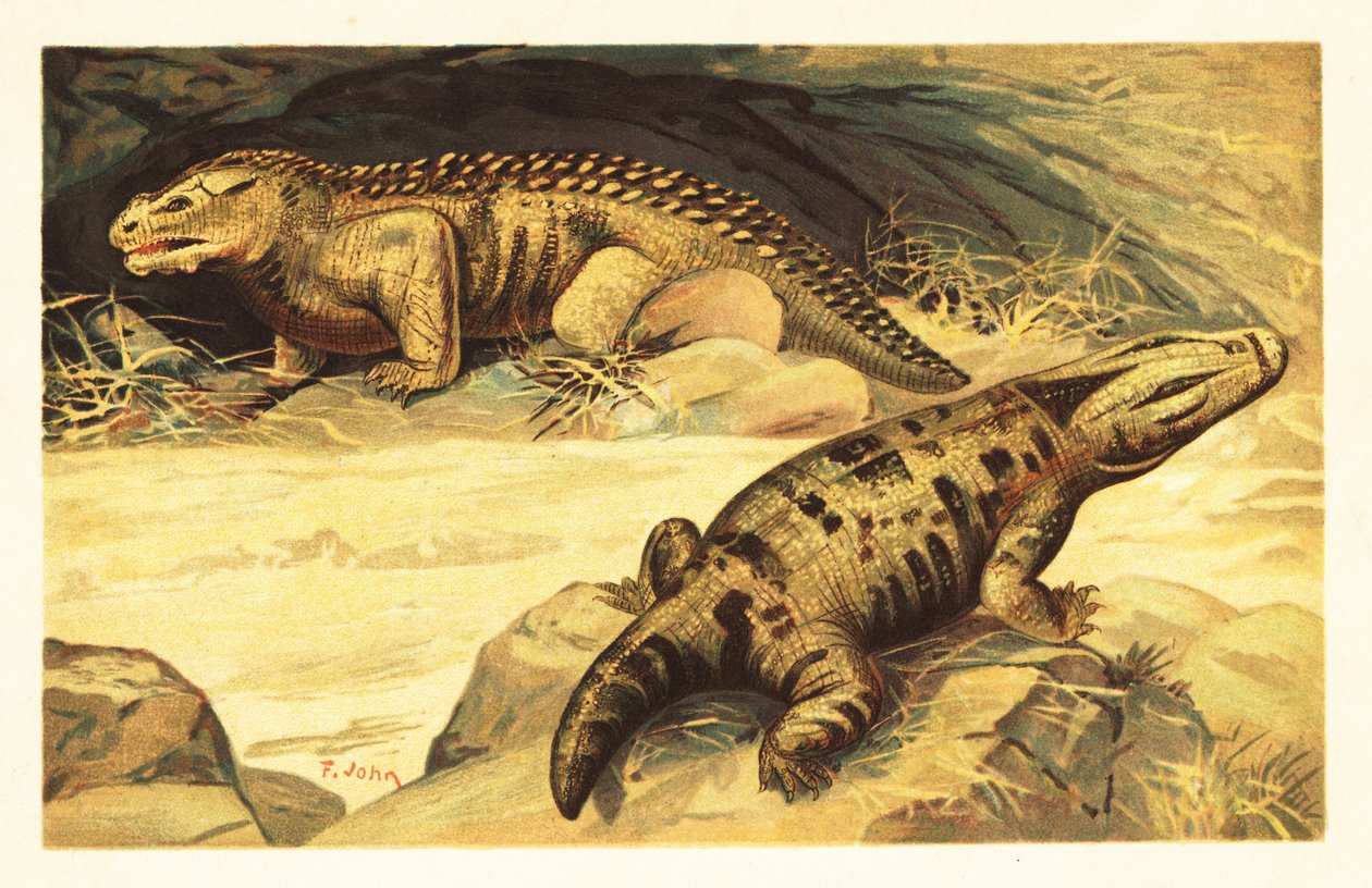 Mastodonsaurus és Pareiasaurus.1908 (litográfia) alkotó: Unbekannter Künstler