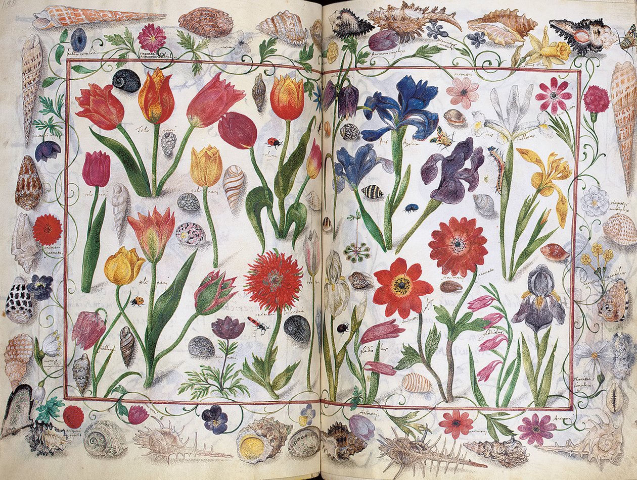 Lapok Philipp Hainhofer, 1596-1633 Amicorum albumából alkotó: Unbekannt