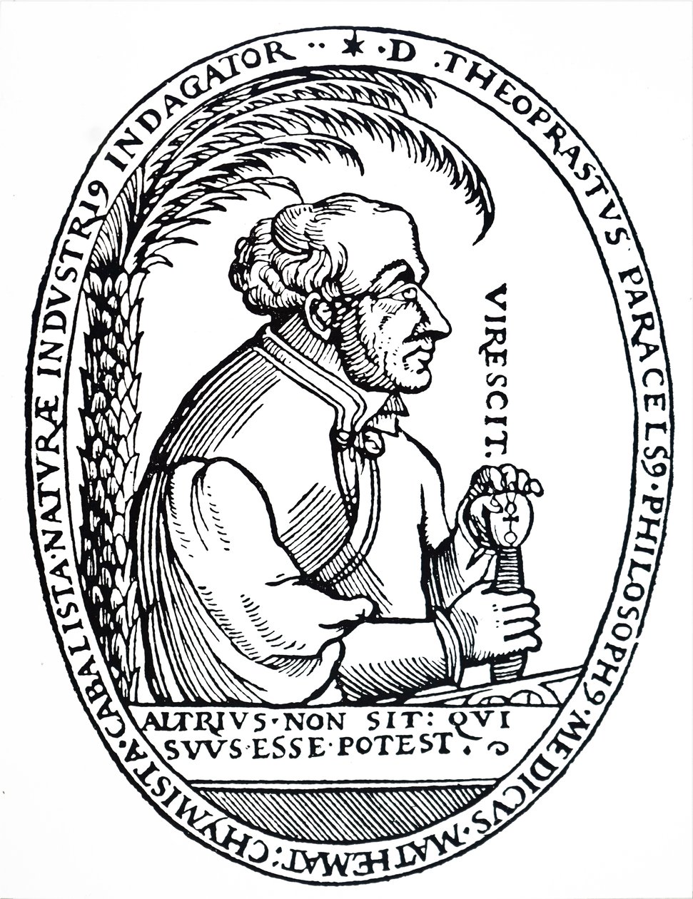Paracelsus. alkotó: Unbekannt