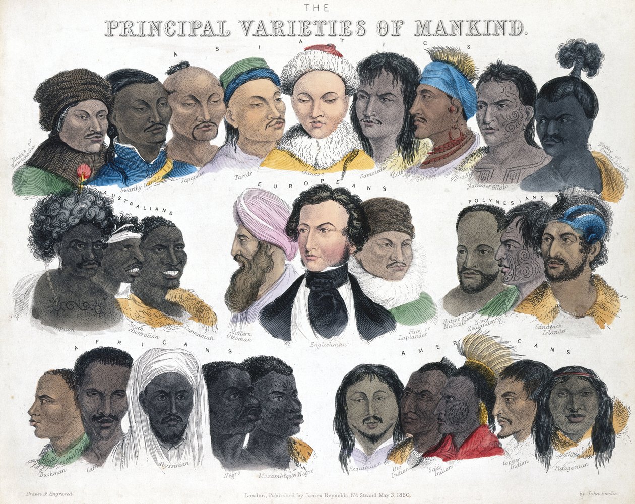 Fiziognómia „Az emberiség fő változatai”, 1850. május 3 alkotó: Unbekannt