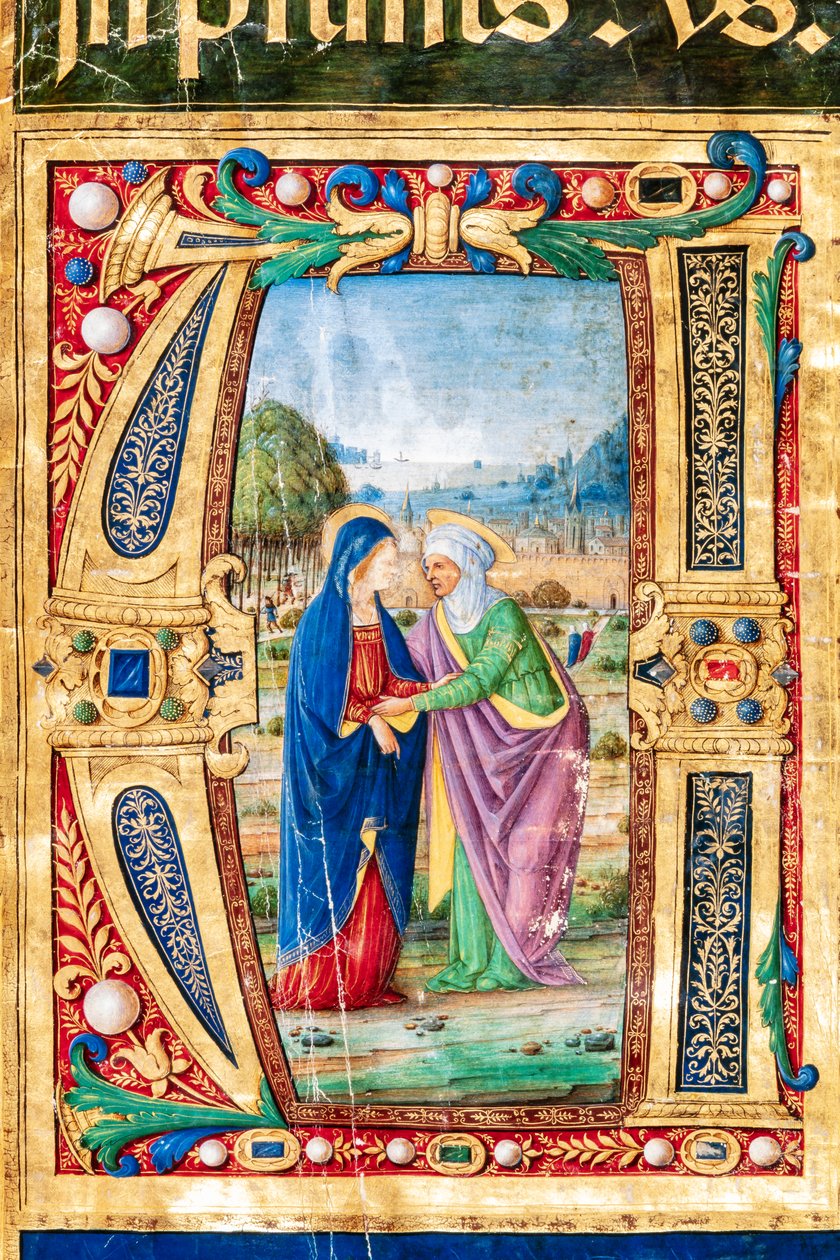 Piccolomini Könyvtár: Kóruskönyv, cod. 14.P., ff. 2r „Mária és Szent Mária látogatásával”. Erzsébet, Giovanni di Giuliano Boccarditól, akit Boccardino az idősebbnek hívnak. Részlet. alkotó: Unbekannter Künstler