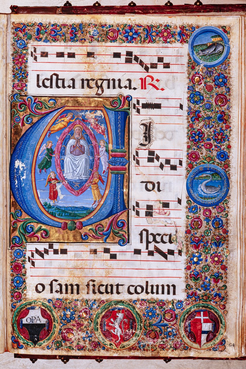 Piccolomini Könyvtár: Kóruskönyv, cod. 15.Q., ff. 64r a „Szűz mennybemenetelével”, Guidoccio Cozzarelli és Bernardino Cignoni. alkotó: Unbekannter Künstler