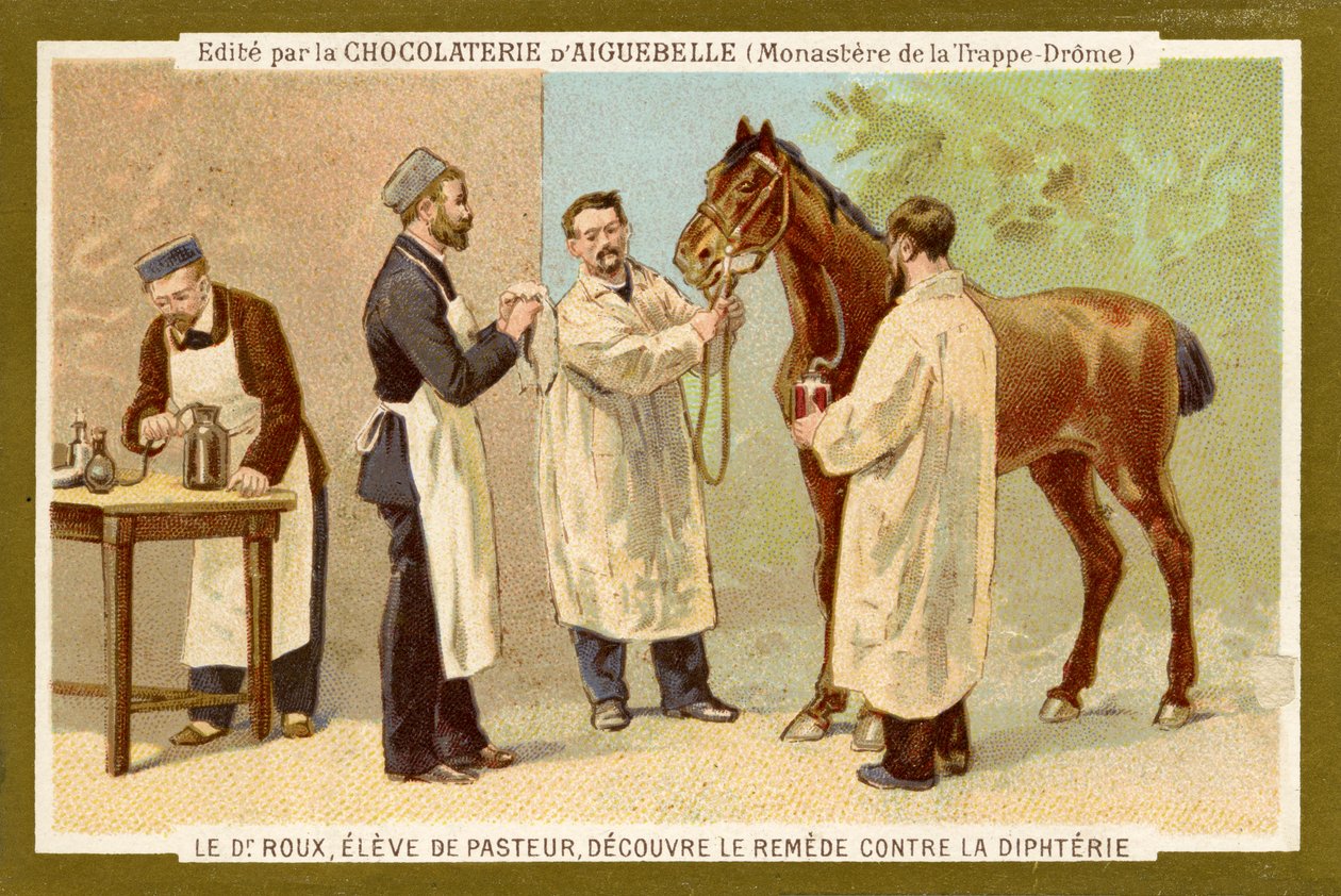 Pierre Paul Émile Roux alkotó: Unbekannter Künstler