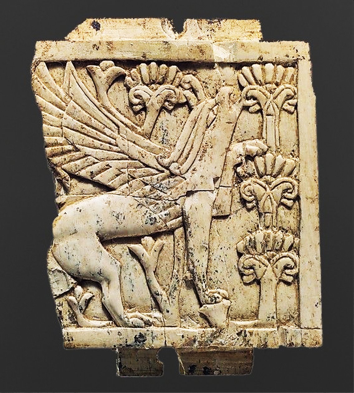 Griffint ábrázoló emléktábla, Nimrud, Mezopotámia, Kr.e. 8-7. alkotó: Unbekannt