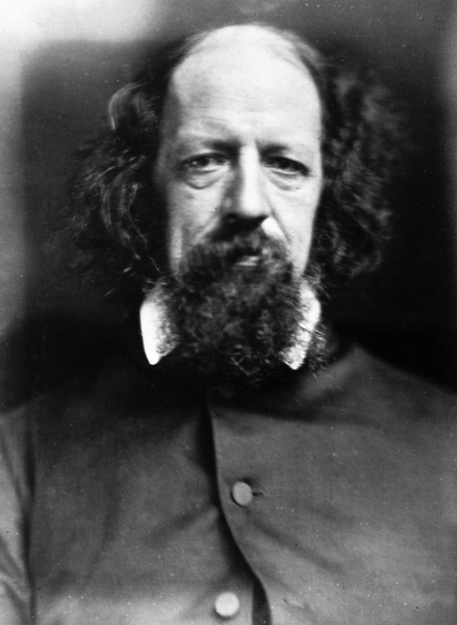 Alfred Tennyson portréja, 1867 alkotó: Unbekannt