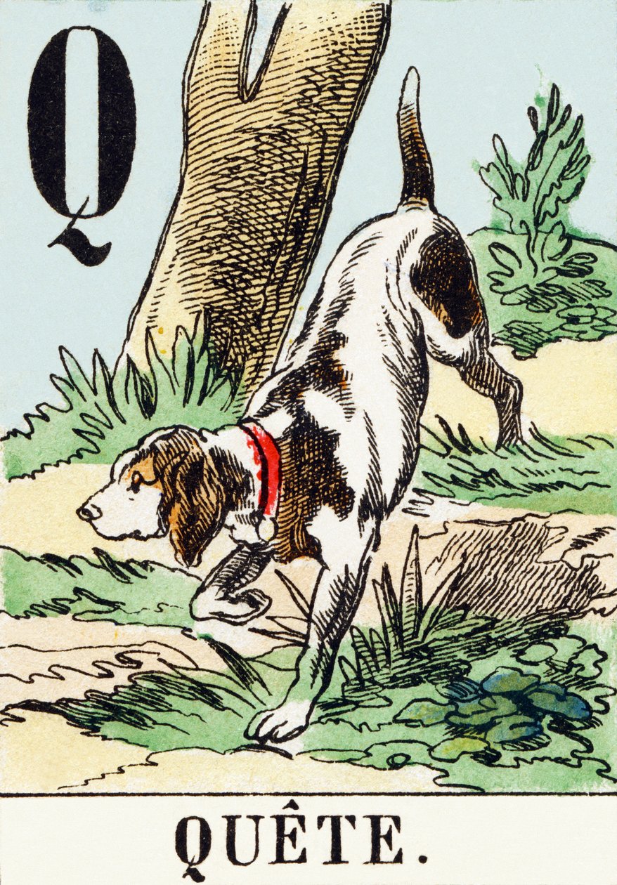 K: Quete – A Vadászábécé, 1890 körül (metszet) alkotó: Unbekannt