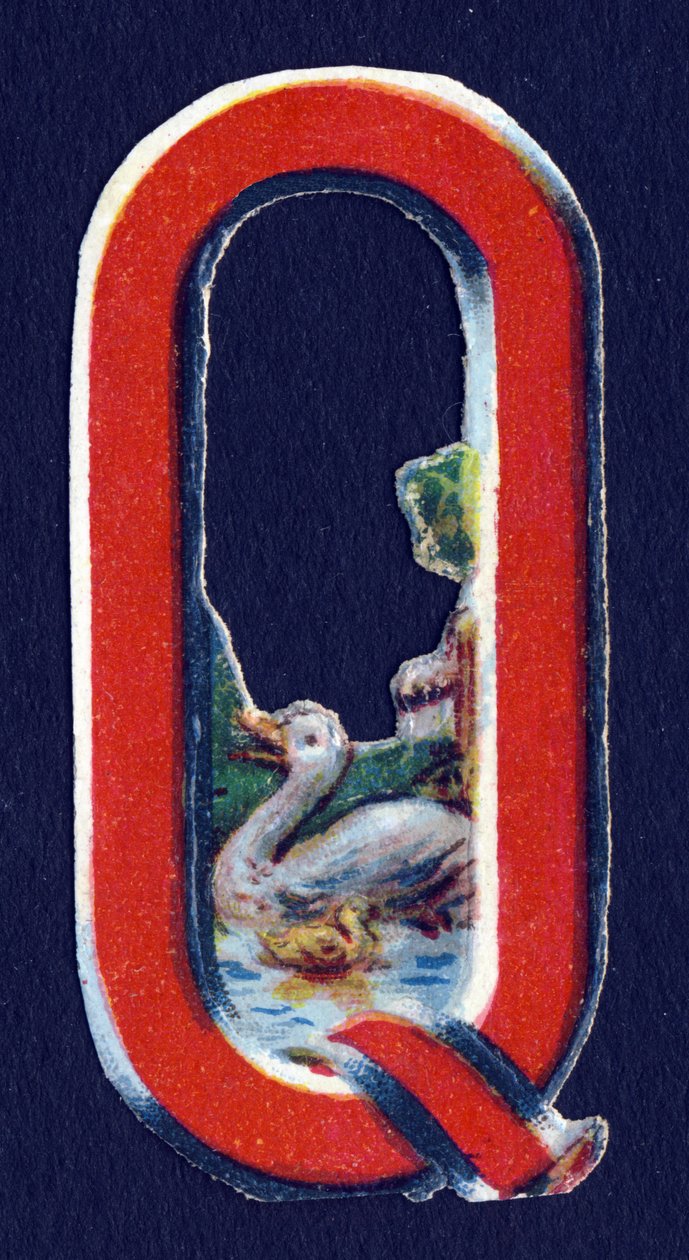 Q mint Quack . Bogár decoupis állatok témában. Metszés. 26 angol eredetű gofri kromolitográfiát tartalmazó sorozat. Szerkesztő és illusztrátor ismeretlen. század vége. Mérete: 5,5x3,5 cm alkotó: Unbekannt