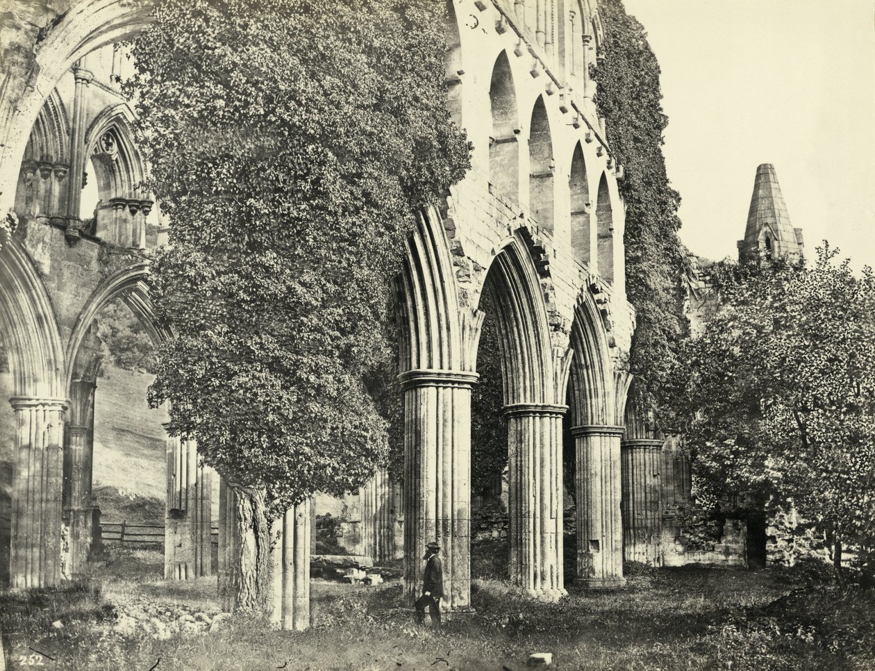 Rievaulx Abbey, North Yorkshire, Egyesült Királyság (f/w fotó) alkotó: Unbekannter Künstler