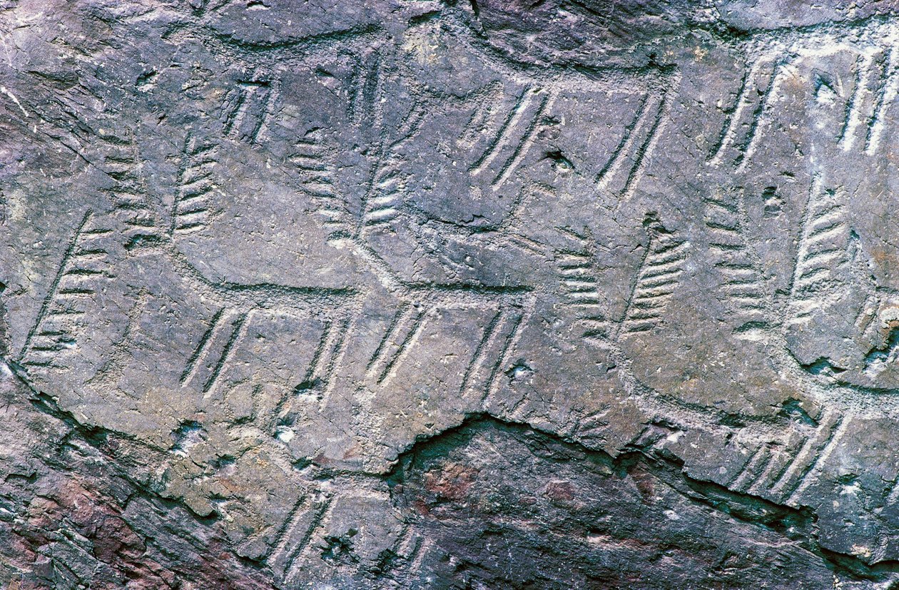 Sziklafaragványok a Massi di Cemmo Nemzeti Régészeti Parkban, Val Camonicában (az Unesco világörökségi listája) alkotó: William M. Timlin