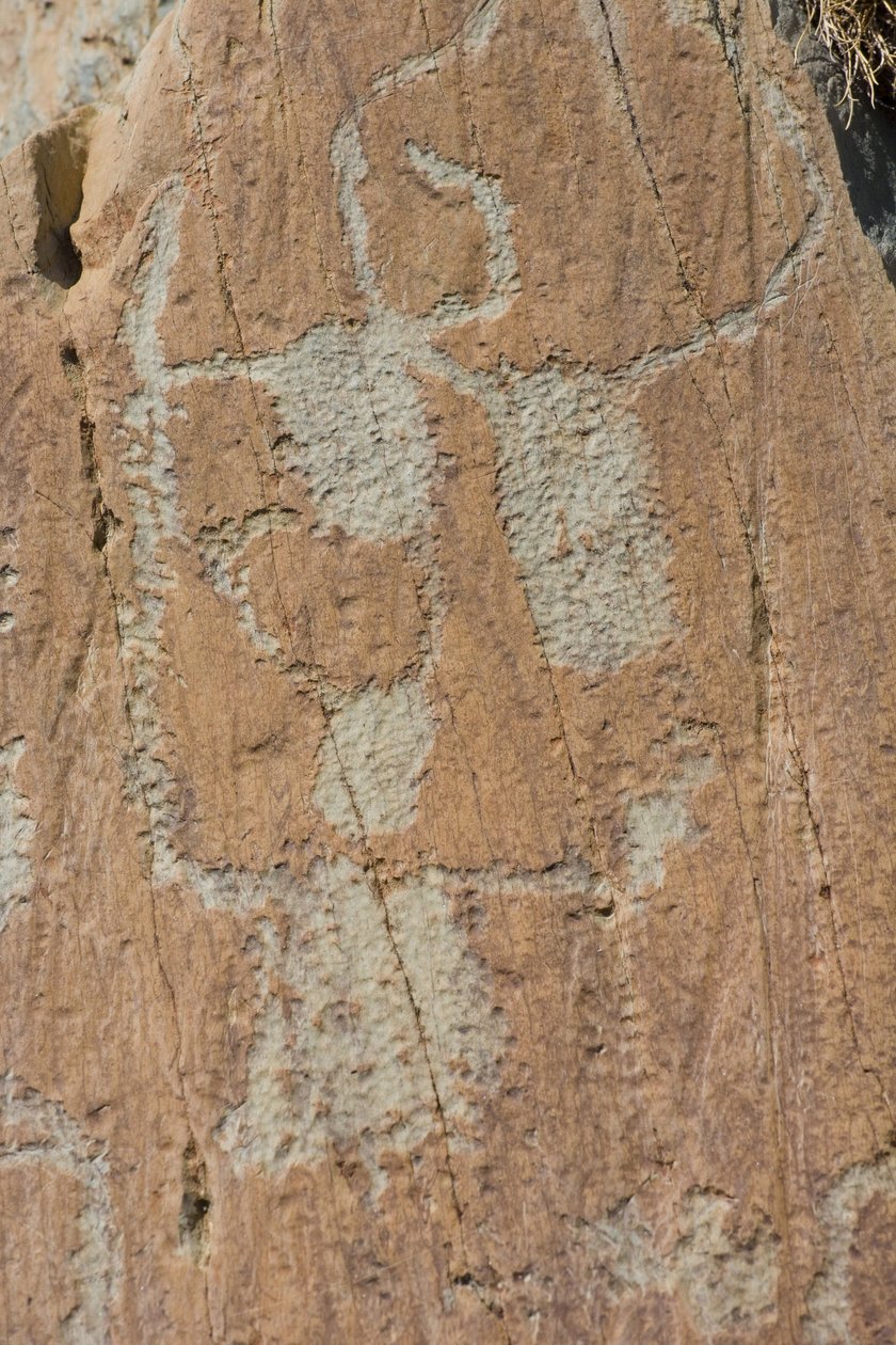 Sziklametszetek a Vallee de Fontanalba/Corniformes emboites vagy szarvasmarhákról/Mercantour Nemzeti Park/Tende/Alpes-Maritimes/Franciaország alkotó: Unbekannt