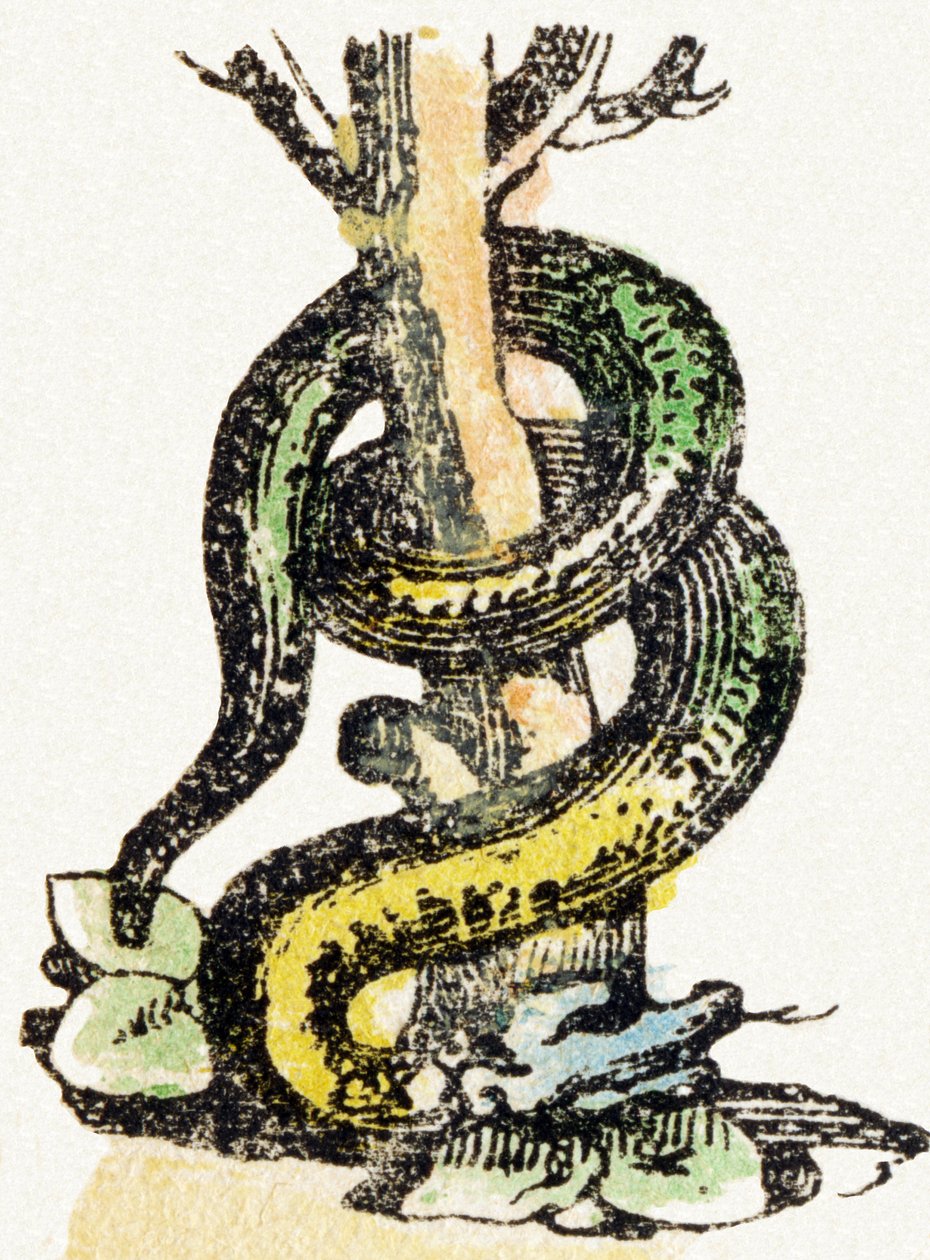 S – Serpent – Child Entertainment Alphabet c.1890 (litográfia) alkotó: Unbekannt