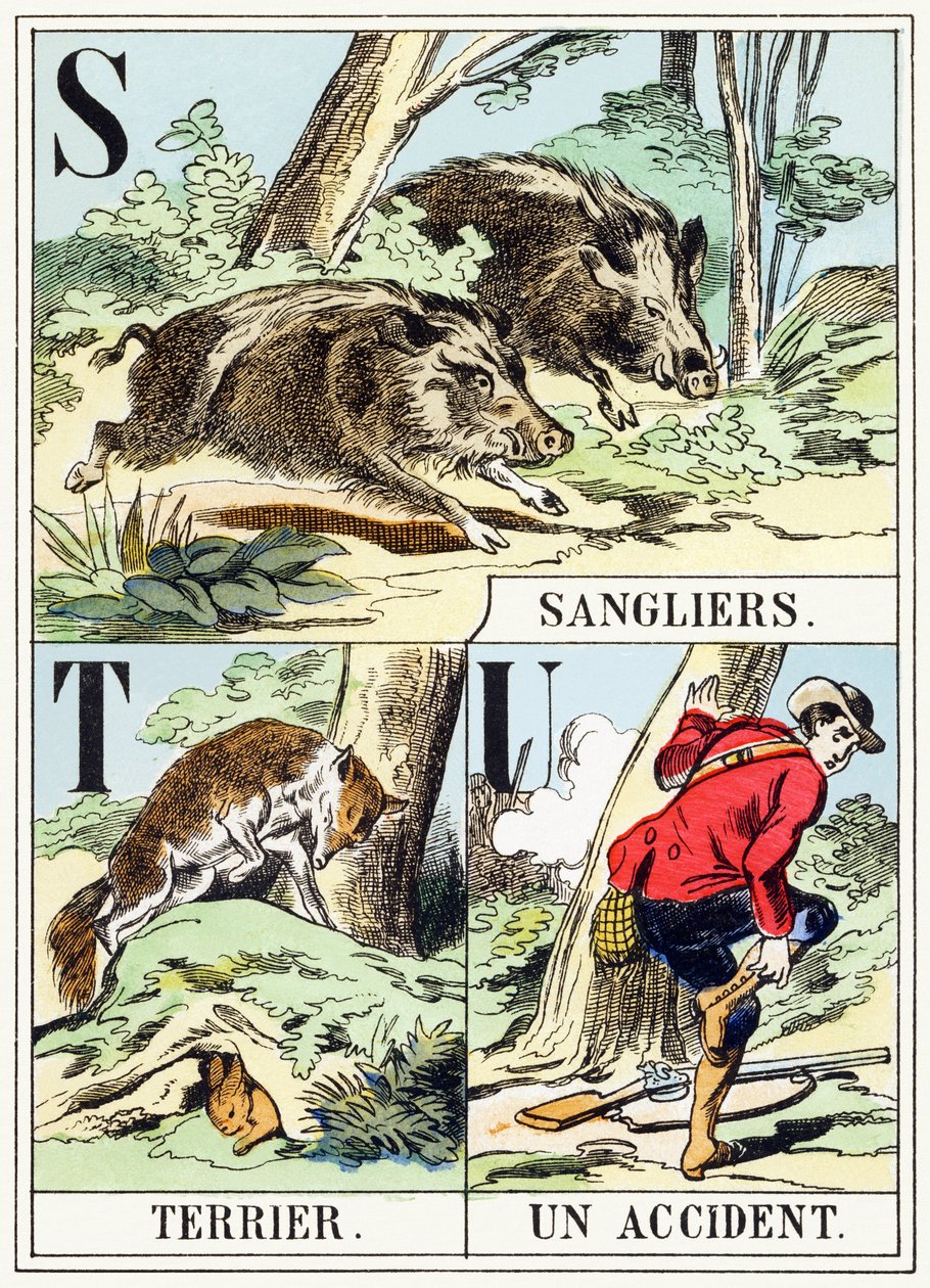 S T U: Sanglier, Terrier, Un-baleset - A vadászat ábécéje, 1890 körül (metszet) alkotó: Unbekannt
