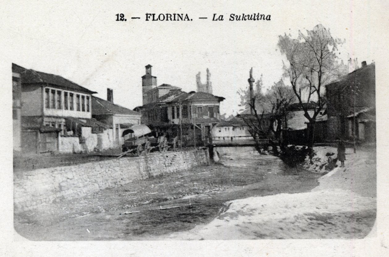 Szerbia, Florina (a mai Görögország): kilátás a Sukulina-ról - Képeslap 1914-1918 alkotó: William M. Timlin