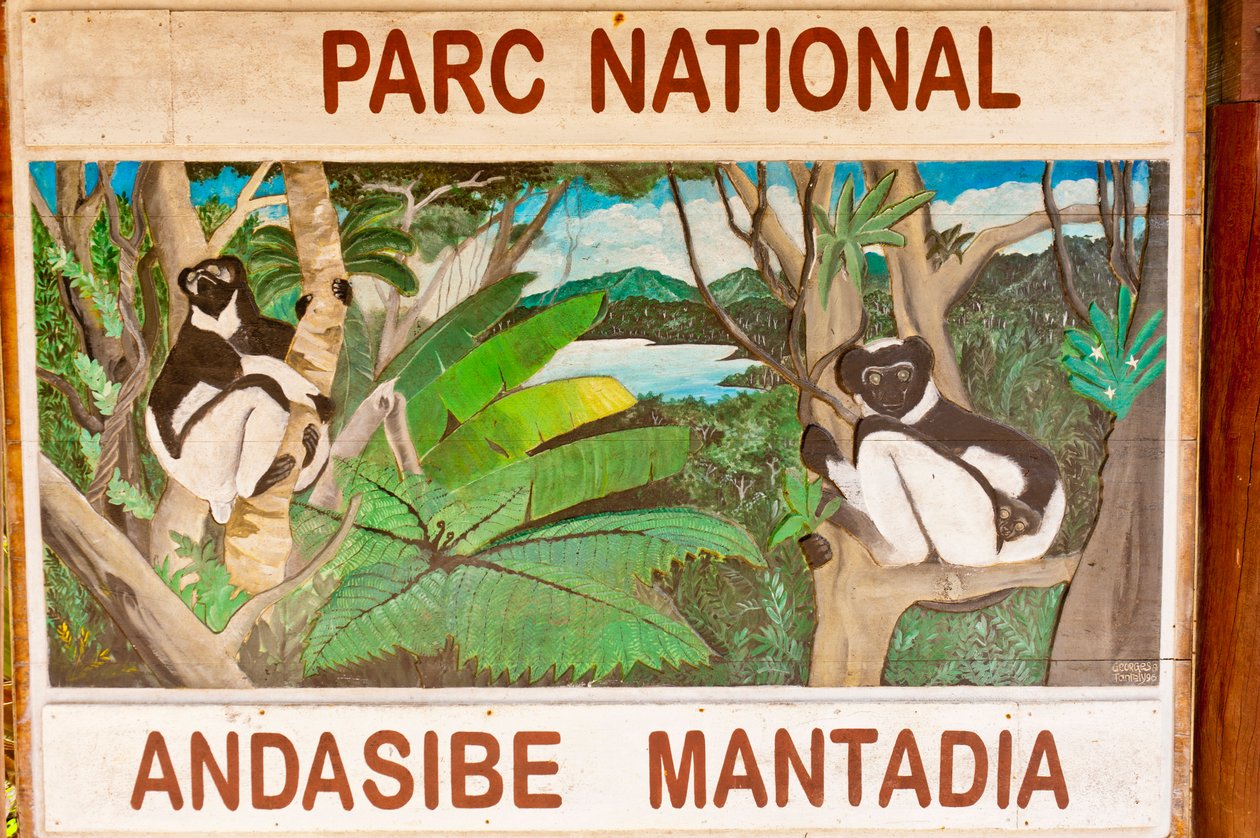 Lemurokat ábrázoló tábla a dzsungelben; Andasibe-Mantadia Nemzeti Park; Madagaszkár; Afrika alkotó: Unbekannt