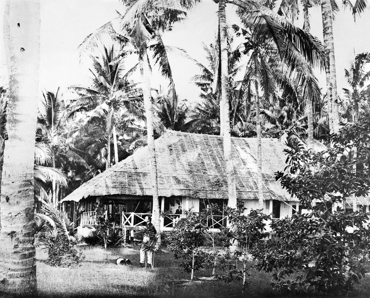 Szingapúr: egy privát bungaló pálmafákkal körülvéve. Szingapúr, 1875 alkotó: Unbekannt