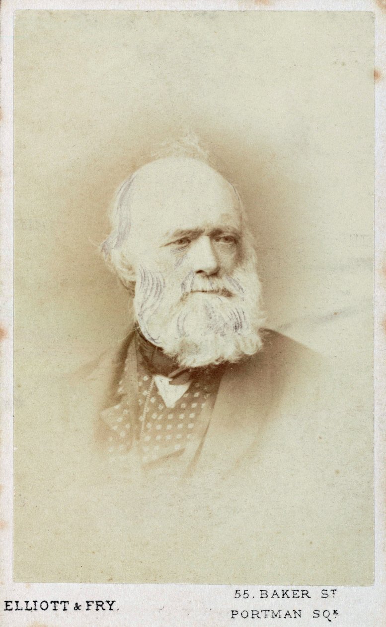 Sir Charles Lyell, angol geológus, 1865-1875 alkotó: Unbekannt
