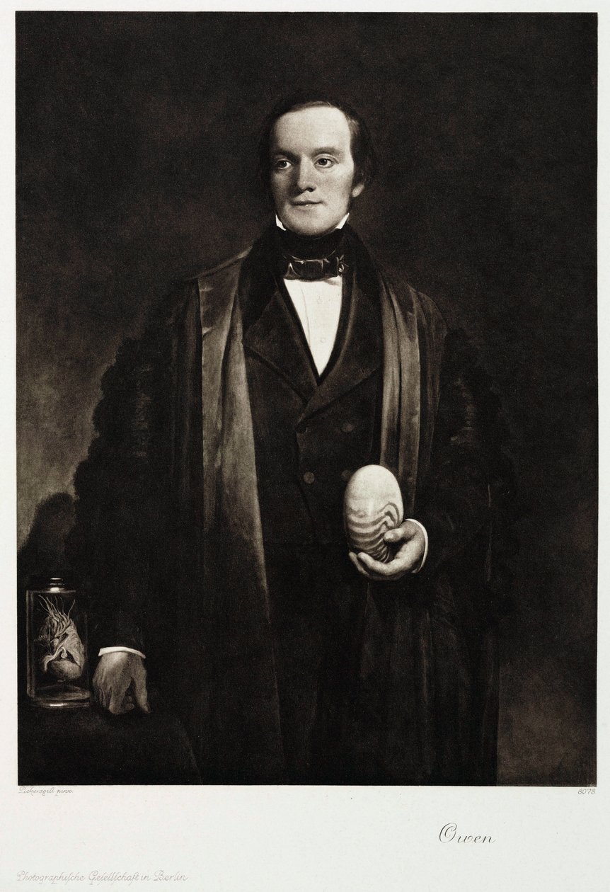 Sir Richard Owen angol természettudós és paleontológus, 1845 alkotó: Unbekannt