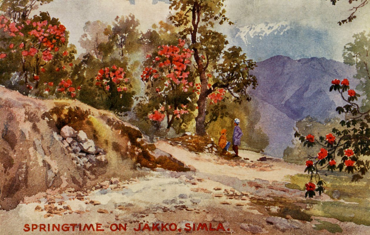 Tavasz Jahko, Simla, India alkotó: Unbekannter Künstler