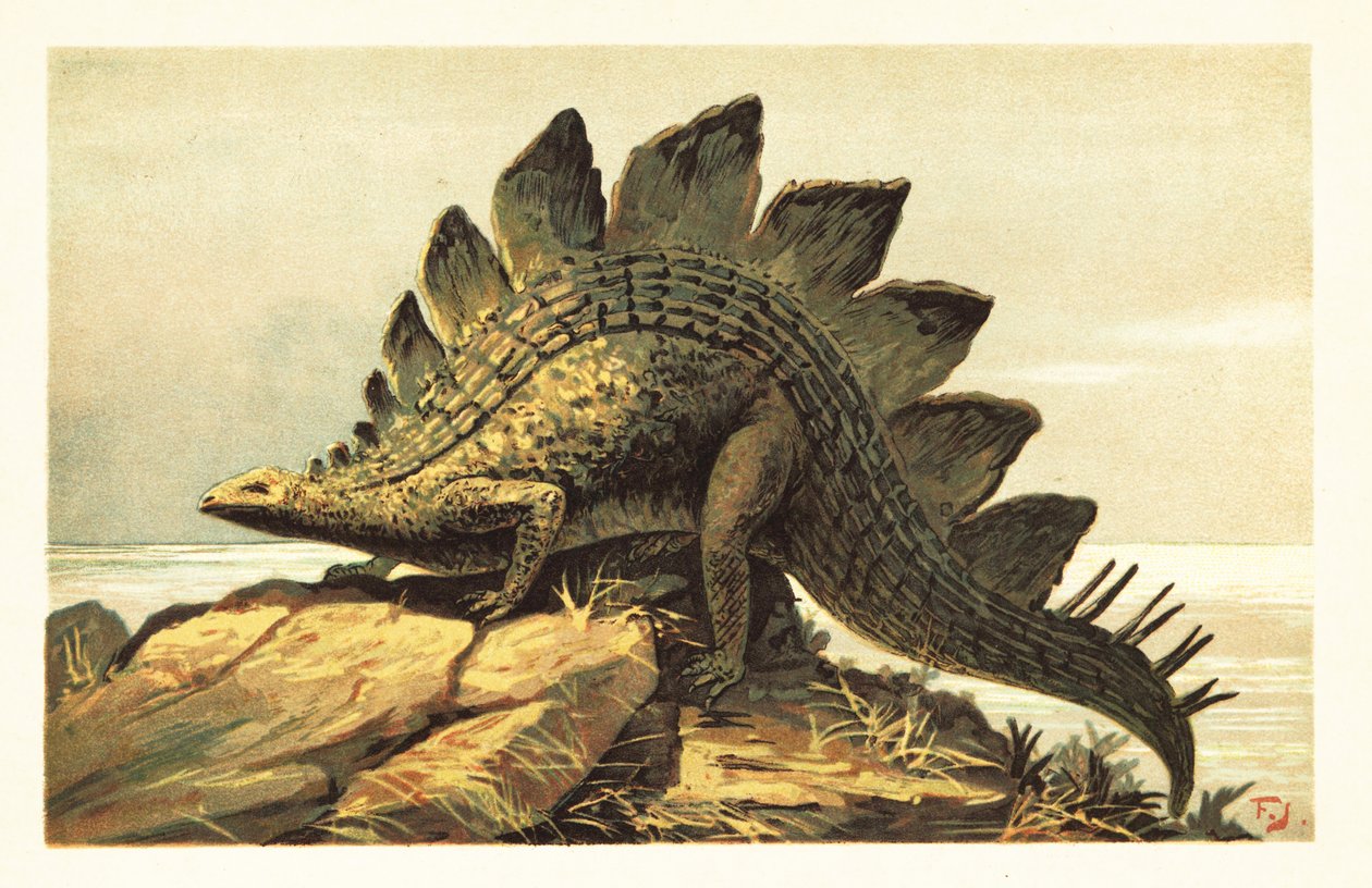 Stegosaurus, a növényevő dinoszauruszok kihalt nemzetsége. 1908 (litográfia) alkotó: Unbekannter Künstler