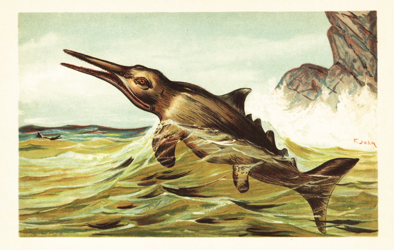 Stenopterygius quadriscissus, kihalt ichthyosaurus.1908 (kőnyomat) alkotó: Unbekannter Künstler