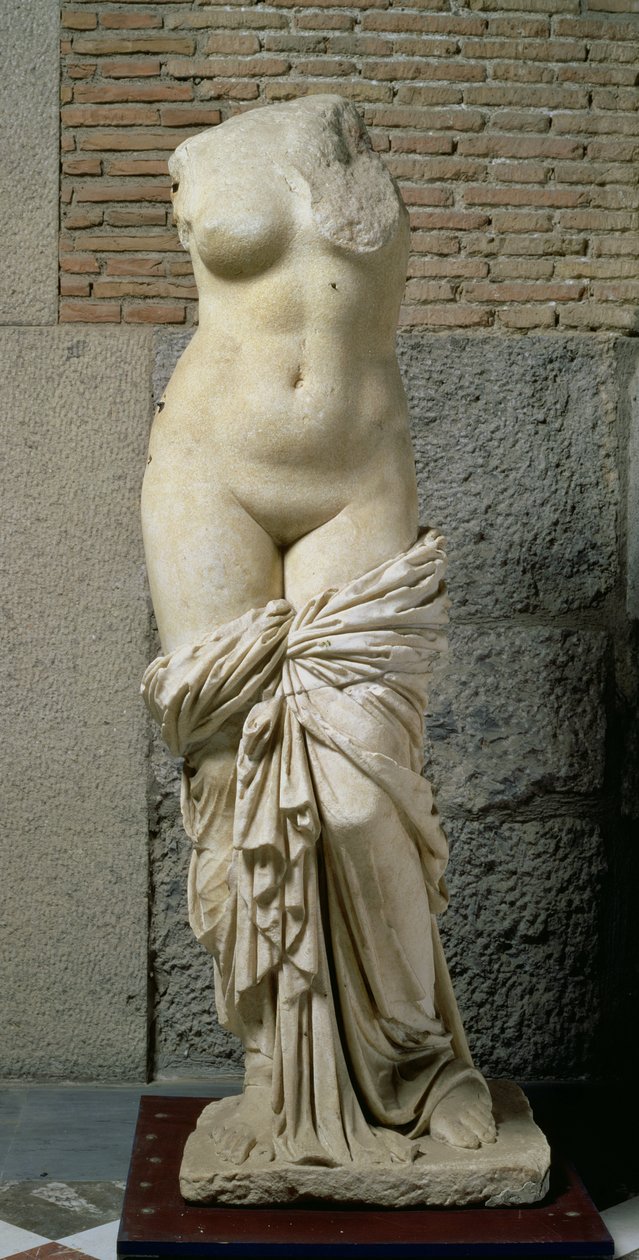A Sinuessa Aphrodite (márvány) alkotó: Unbekannt