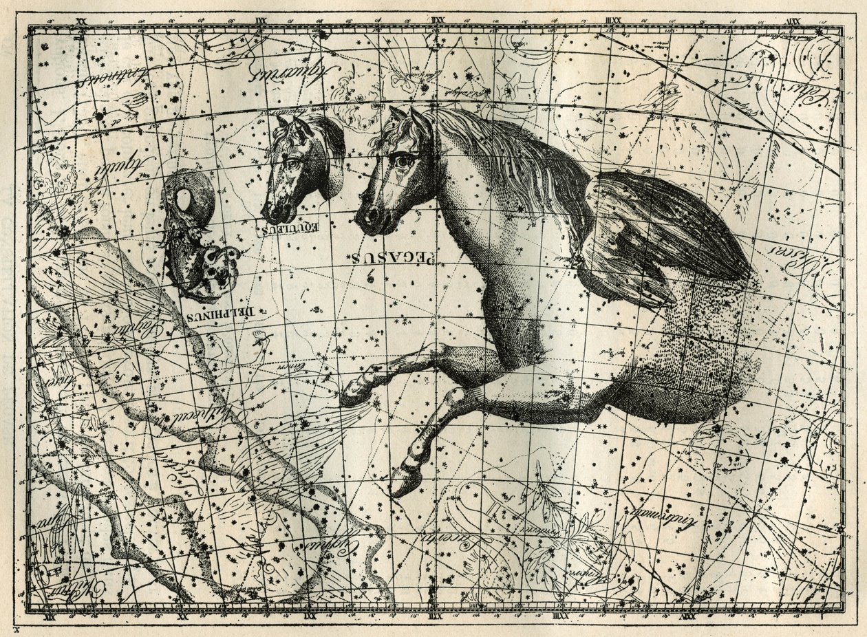 A Pegase csillagkép úgy rajzolódik ki, mint egy pár szárnyú ló elülső fele, a Kis Ló, egy lófej és a delfin. Metszet a „Les étoiles et les autres curiosites du ciel” című könyvéből, Camille Flammarion alkotó: Unbekannt