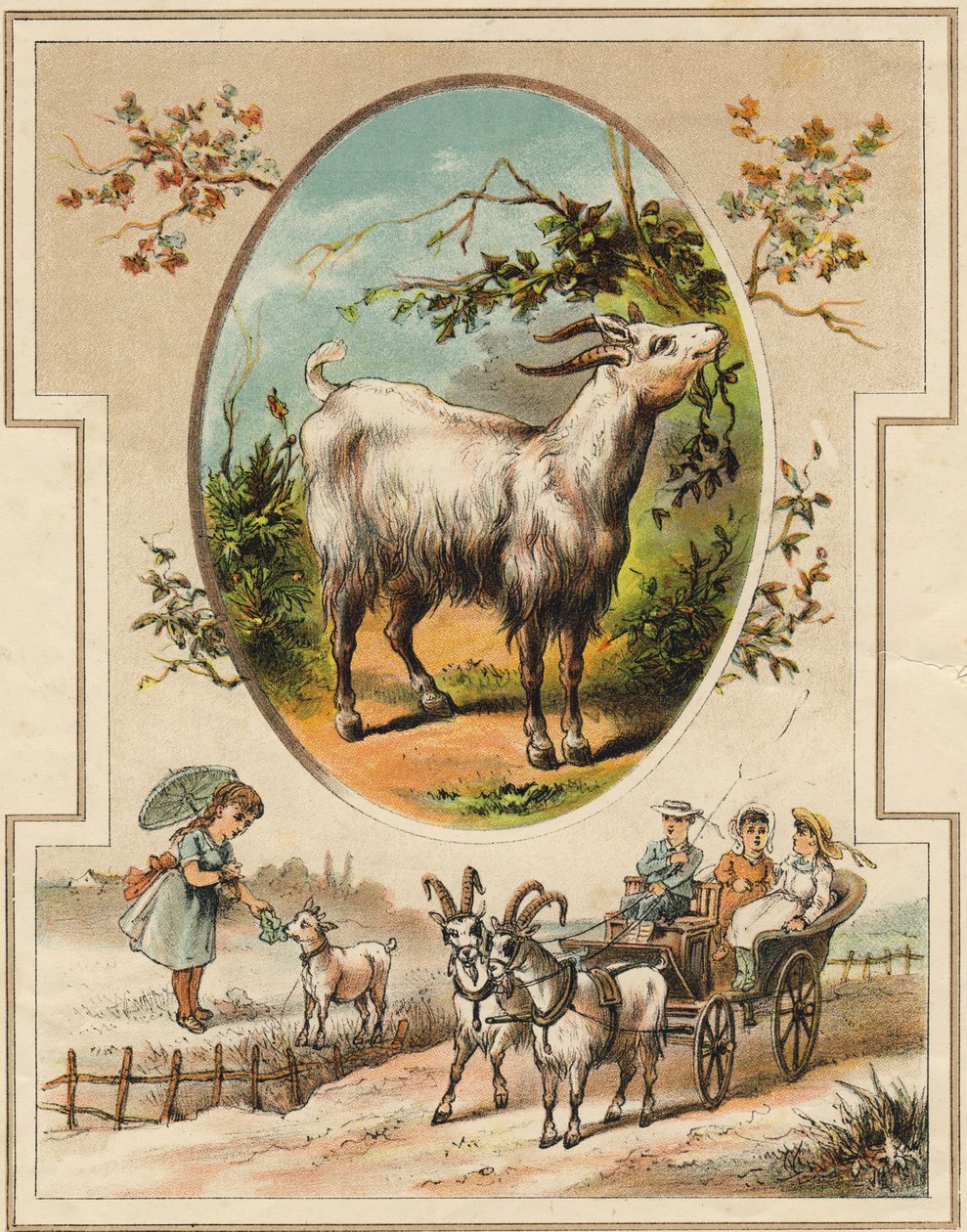 A kecske. Metszet "Mon premier Grand Alphabet"-ben. Bernardin-Bechet kiadás, Párizs, 1890 körül. Illusztrációi: A. des Lilleuls. Oldal nélkül, 46 oldal. Mérete: 31x22 cm. alkotó: Unbekannt