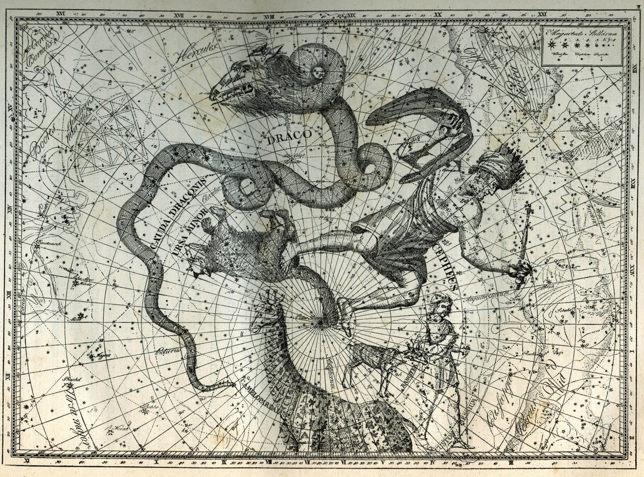 Az Északi-sark közeli csillagképei: Kis Medve, Sárkány, Cephee, Zsiráf, Rénszarvas és Messier. Metszet Camille Flammarion „Az ég csillagai és egyéb érdekességei” című művéből alkotó: Unbekannt