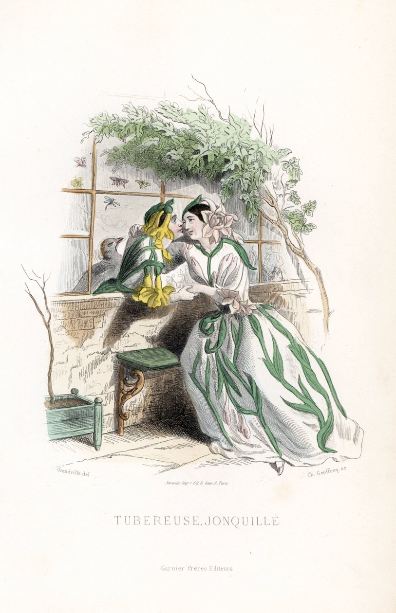A gumós díj és egy manó nárcisz udvarolnak egy kerti padon, egy fal mellett - Eau forte Charles Geoffroy (1819-1882) alkotása, Jean Ignace Isidore Gerard dit J.J.Granville (1803-1847) illusztrációja alapján, a Les fleurs animees című kötethez. alkotó: Unbekannter Künstler
