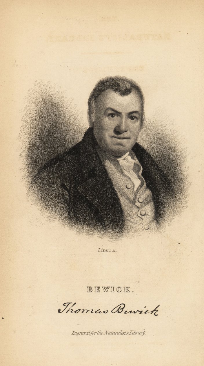 Thomas Bewick angol metsző és természetrajzi szerző alkotó: Unbekannt