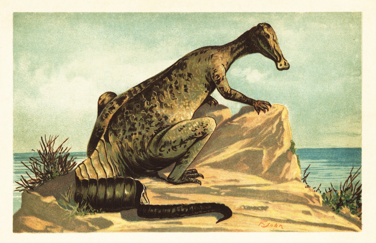 Trachodon mirabilis, kihalt hadrosaurad dinoszaurusz.1908 (litográfia) alkotó: Unbekannter Künstler