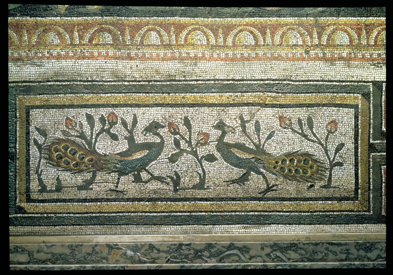 Két páva, dekoratív szegélyrészlet az évszakokat és a vadászjeleneteket ábrázoló mozaikburkolatról, a római daphnei Constantinian-villából, i.sz. 325-330 körül (márvány, mészkő és üvegmozaik) (105665 részlet) alkotó: Unbekannt